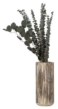 Dried flower arrangement eucalyptus with