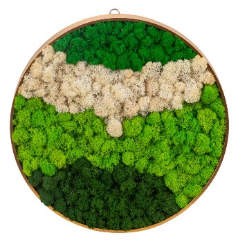 Moss picture round d=30cm with hook