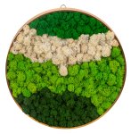 Moss picture round d=30cm with hook