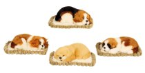 Dog with voice on blanket h=5cm w=11cm