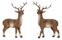 Deer standing h=23cm w=16cm asst.