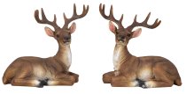 Deer lying h=15+15,5cm w=16cm asst.