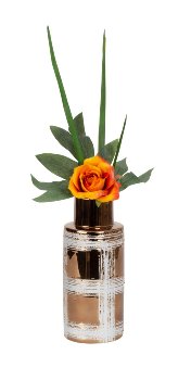 Vase bronze h=24cm d=10cm