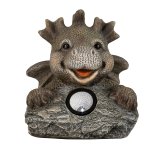 Laughing dragon lying on stone with