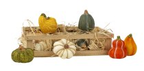 Decoration pumpkins 5cm in wooden box