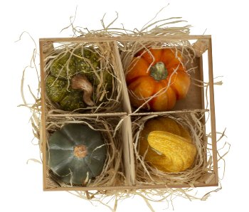 Decoration pumpkins 10,5cm in wooden box