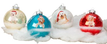 Glas-Weihnachtskugeln mit Hundemotiv