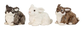 Rabbits sitting h=13,5cm w=18cm asst.