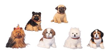 Dogs sitting with collar h=16-17 cm