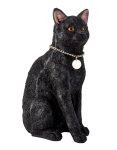 Katze schwarz sitzend mit Silberkette