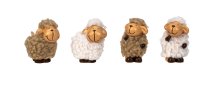 Schafe stehend in mit braunem und weißem