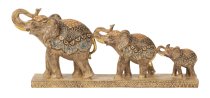 Elephant family in a row standing