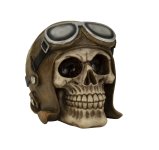 Skull with plane cap & plane glasses