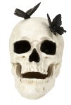 Skull with butterflies h=17,5cm
