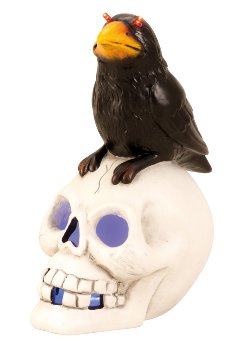 skull with raven h=25,5cm with