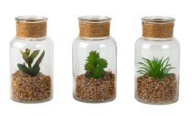 Glass bottle with artificial cactus