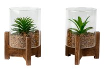Glass with artificial cactus on wooden