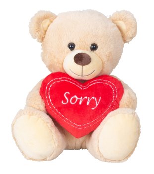 Bear sitting with heart "Sorry"