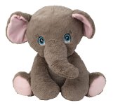 Elefant mit hübschen Augen sitzend