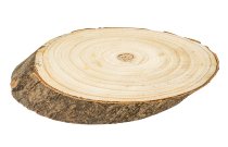 Tree Slice with bark ca. 22x12x2cm