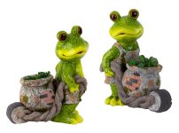Frog standing with barrow for planting