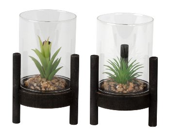 Glas mit künstlichem Kaktus auf