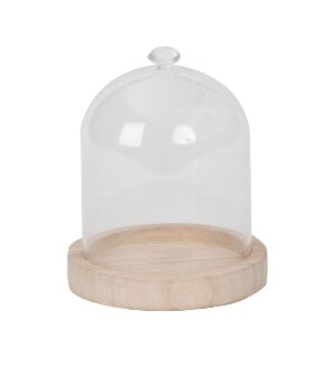 Glass dome on wooden base for decoration