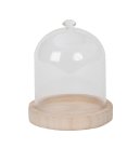 Glass dome on wooden base for decoration