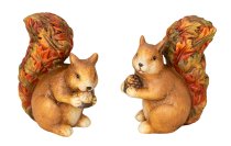 Eichhörnchen stehend braun mit Eichel in