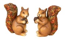 Eichhörnchen stehend braun mit Eichel in