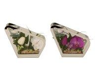 Glasdekoration mit Orchidee in