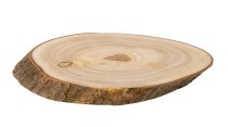 Tree Slice with bark ca. 26x16x2,5cm