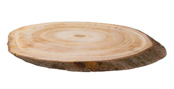 Tree Slice with bark ca.h=3cm,