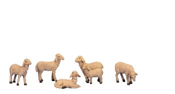 Sheep big, set of 6pcs h=4-7cm