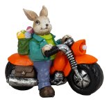 Rabbit on motorcycle with LED light