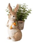 Rabbit sitting with basket on spine for