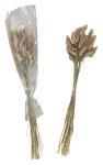 Dried flower arrangement h=54cm