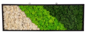 Moss picture 60x20cm with hooks