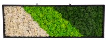 Moss picture 60x20cm with hooks