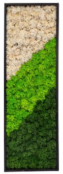 Moss picture 60x20cm with hooks