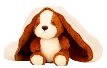 Plush dog in fabric cover bone shape