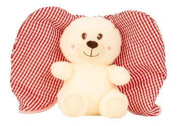 Plush bear in fabric cover heart shape