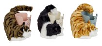Katze mit Stiftehalter h=14cm b=18cm