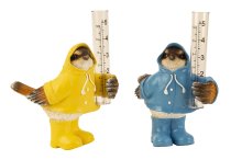 Birds in rain clothes with rain gauge