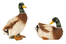 Duck standing and lying h=12,5+21cm