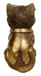 Funny cat in gold with big glasses