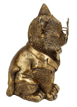 Funny cat in gold with big glasses