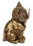 Funny cat in gold with big glasses