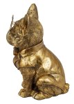 Funny pug dog in gold with big glasses