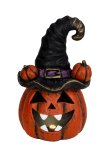 Halloween pumpkin with black hat &